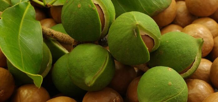 Australian perspiration walnut